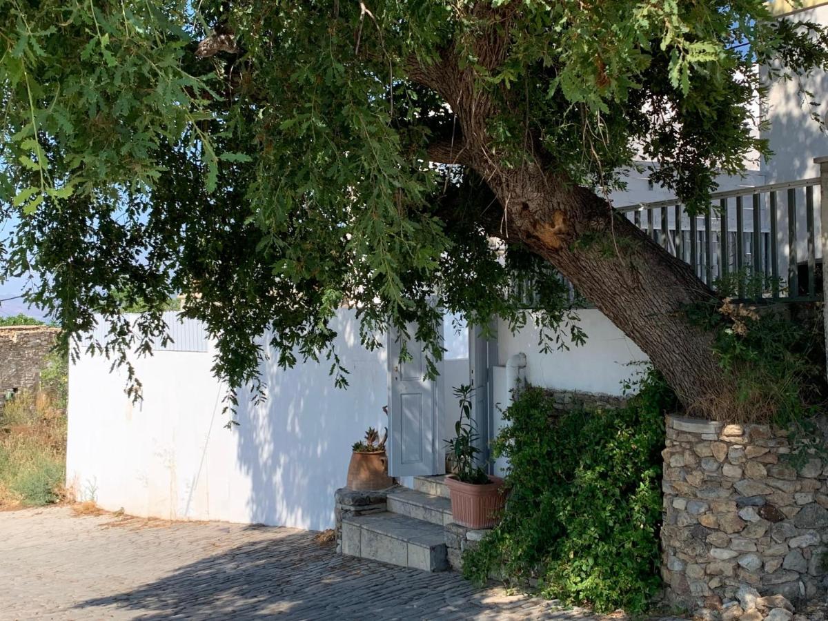 Moeses House Villa Asfendiou ภายนอก รูปภาพ